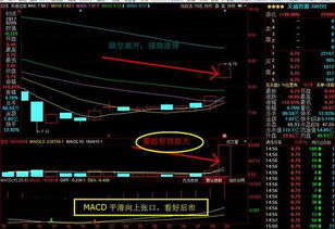 計算機系統(tǒng)集成服務板塊 深度解析后市強勁增長潛力